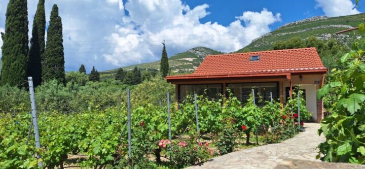 Bratincevic Winery Tasting Menu