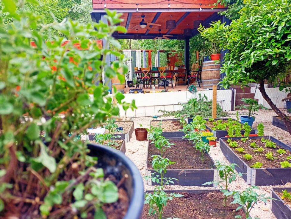 Garden to table experiences
